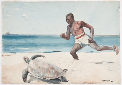 Rum Cay door Winslow Homer